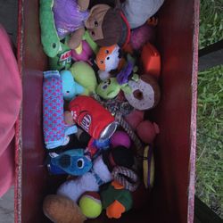 Dog Toys And Toy Box For 30