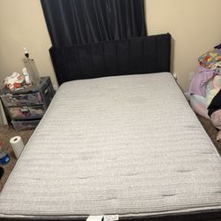 Queen Bed Frame And Mattress 