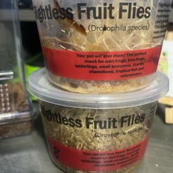 Flightless Fruit Flies 