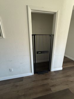 Dog Gate