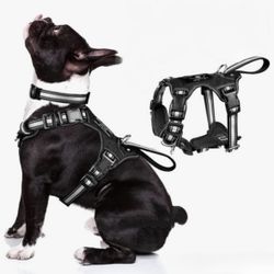 Dog Harness 