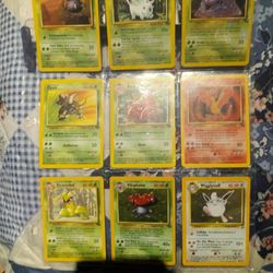 POKEMON CARDS!!