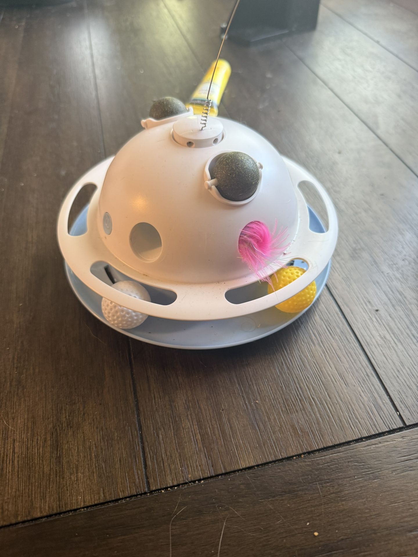 Cat Toy