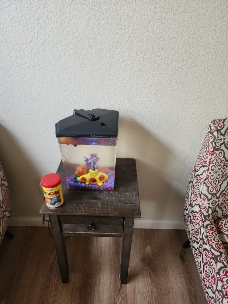 Fish Tank With Free Food