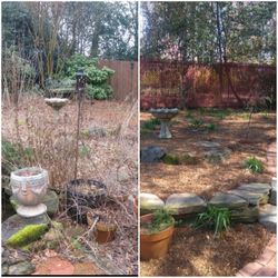 Lawn Maintenance 🍁