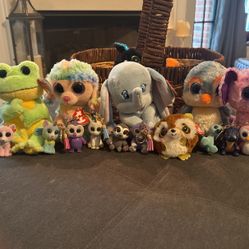 17 Ty Beanie Baby Pieces 