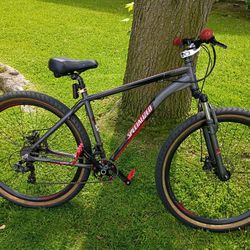 Specialized 29"
