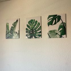 Three 12x16 Monstera Canvas Wall Art