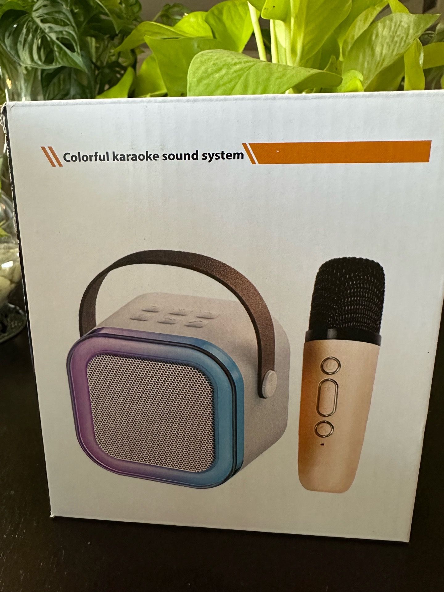 Mini Karaoke Machine w/ Microphone