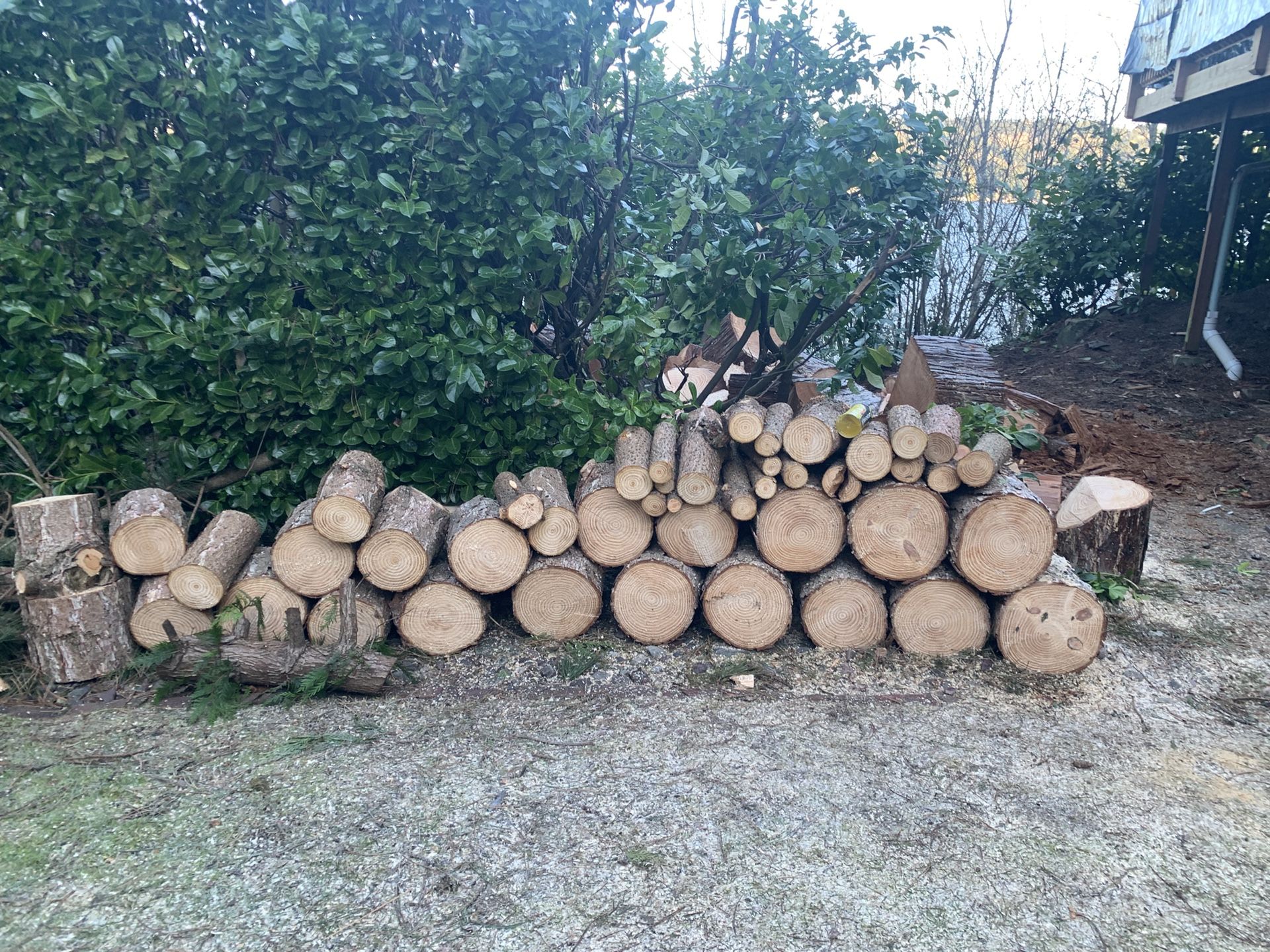 Free Fire Wood & Cedar Wood