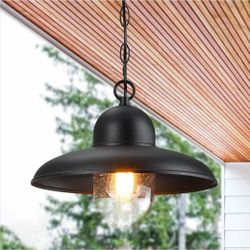 12" Outdoor Pendant Light – Adjustable 59" Chain, Black Farmhouse Ceiling Light