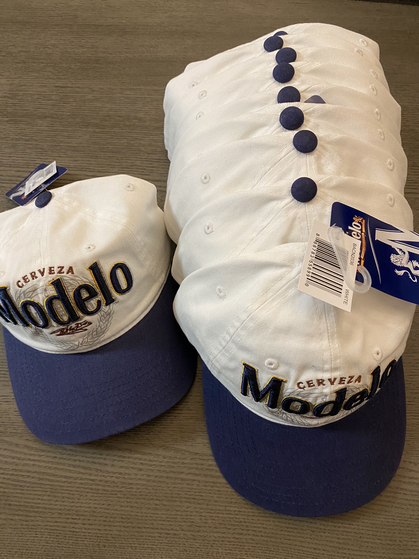 Modelo Beer Hat