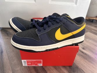 Nike Dunk - Low*BRAND NEW*