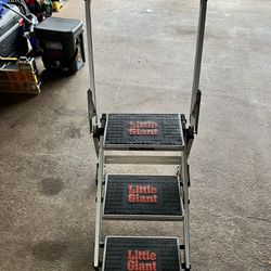 Ladder - Little Giant 