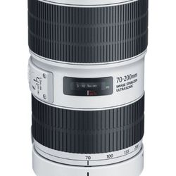 Canon - EF 70-200mm f/2.8L IS III USM