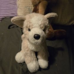 Douglas Retired  Pomsky 