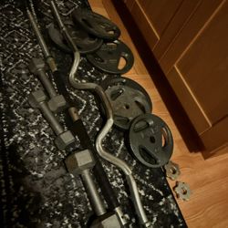 Weight Set – EZ Curl Bar + Plates + Dumbbells