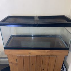 Fish Tank \ Turtle Deluxe Aquarium , 20-gal