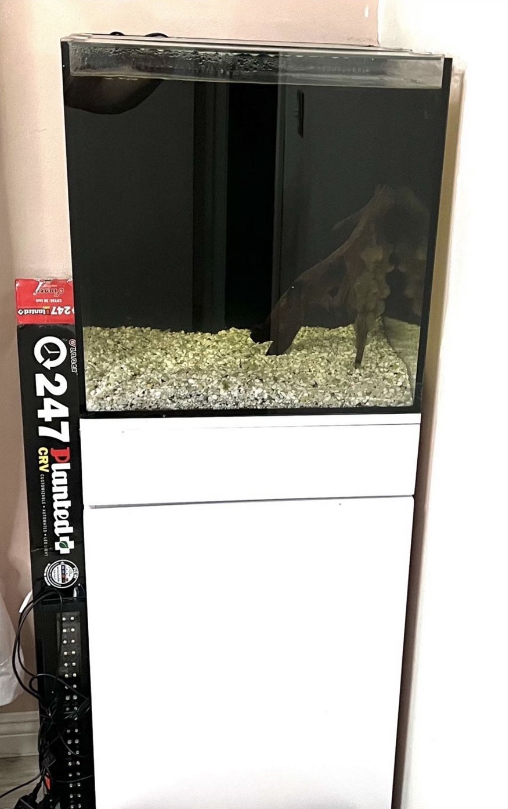 JBJ 25 gallon rimless aquarium setup