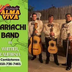 Trompeta violín de mariachi