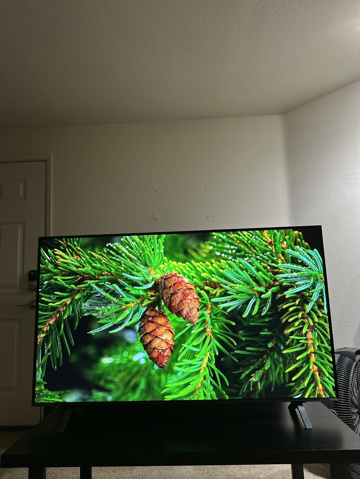 55” LG 4K NANOCELL