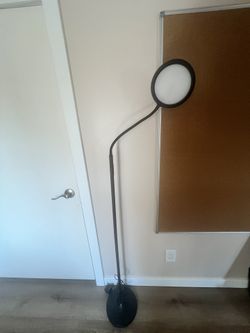 Pack Of 3 Selfie Lights