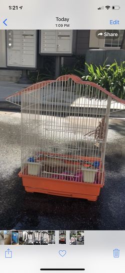 Large birds cage