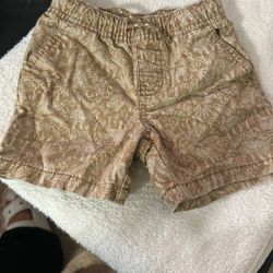Baby Boy Shorts 