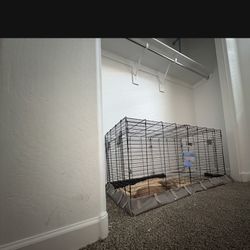 Cage for Sale! 