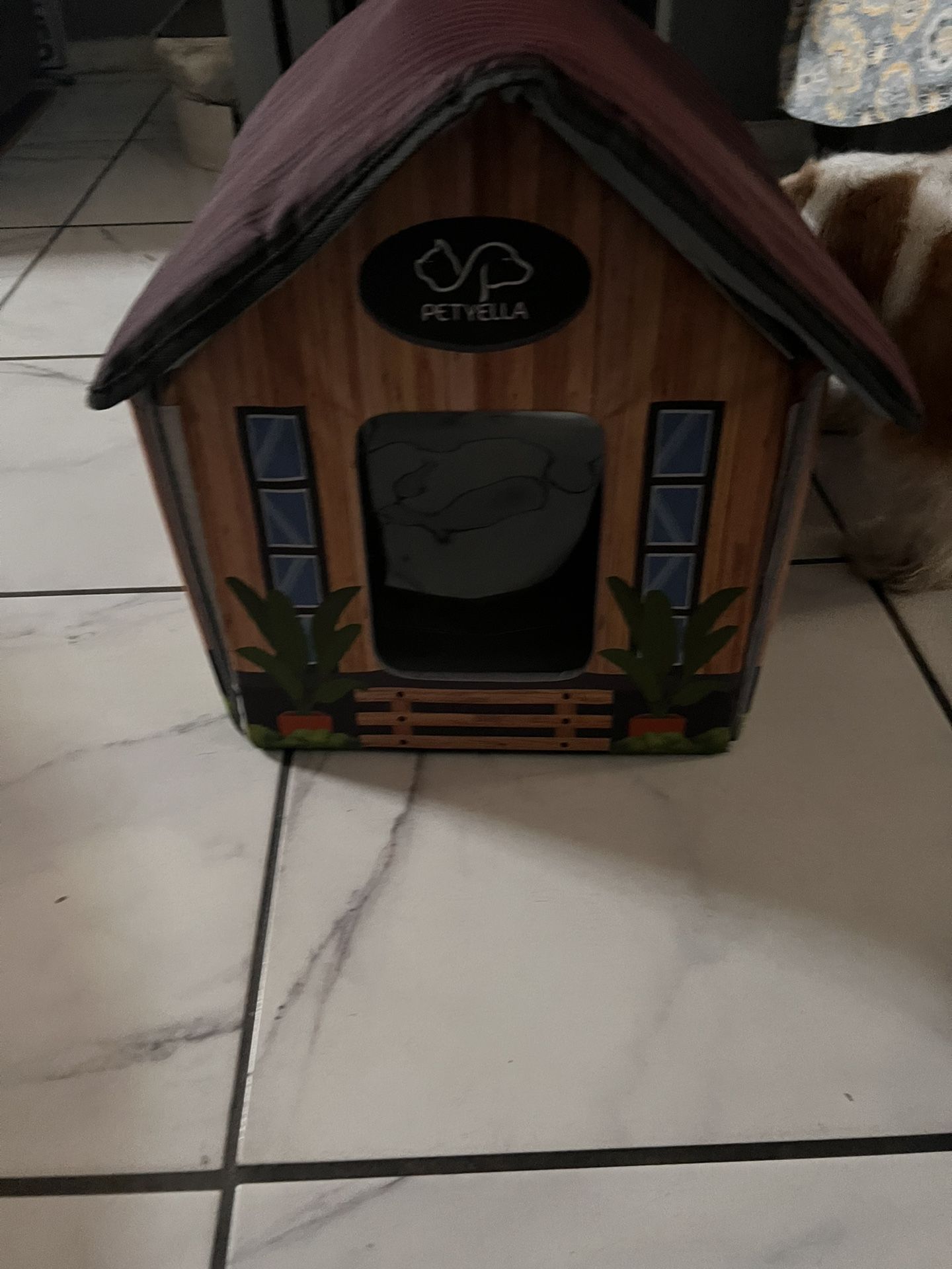 Cat\Dog House 