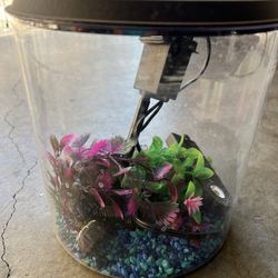 Fish Tank Set