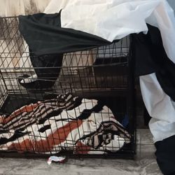 LG Dog Kennel With Sliding Tray
