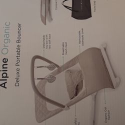 Deluxe Portable Bouncer 