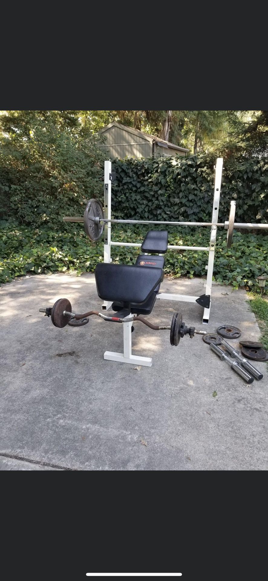 Competition Weight Lifting Bench Set 