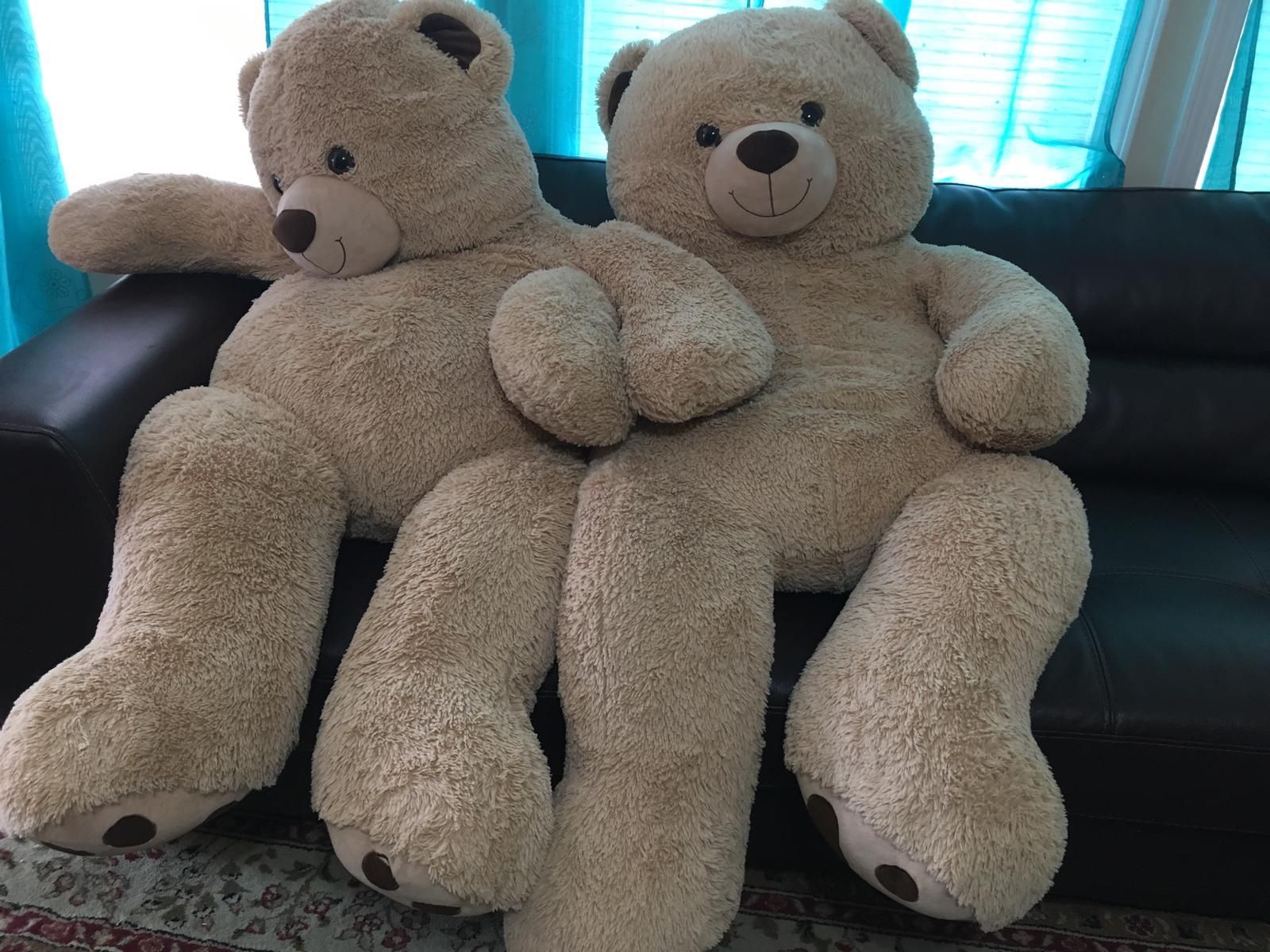 Cozy Teddy Bears $15 each