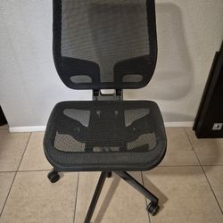 Office Task Chair With Lumbar Support