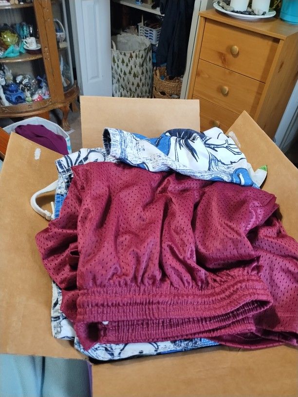 Men's Shorts Asst Colors