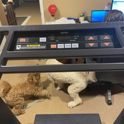 Trotted CXT Plus Treadmill