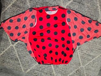 Ladybug costume Adult size