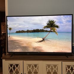 55” Vizio flat screen TV