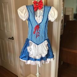Halloween Dorthy Wizard Of Oz Costume With Hair Bows Girls Size M (8-10)