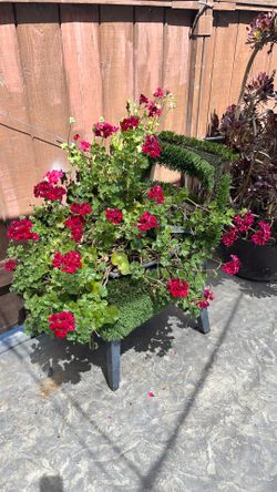 Garden Chair Real Plant Silla Para Jardín