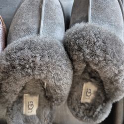 Brand NEW size 8 ... UGGS