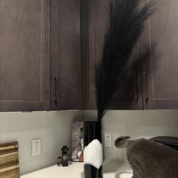 Elegant Vase with Feathers