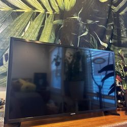 Samsung 30” TV and Roku 