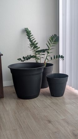Large And Small Size Planters