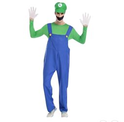 Luigi costume for men size small
