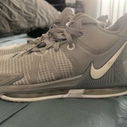 LeBron James Basketball Shoes