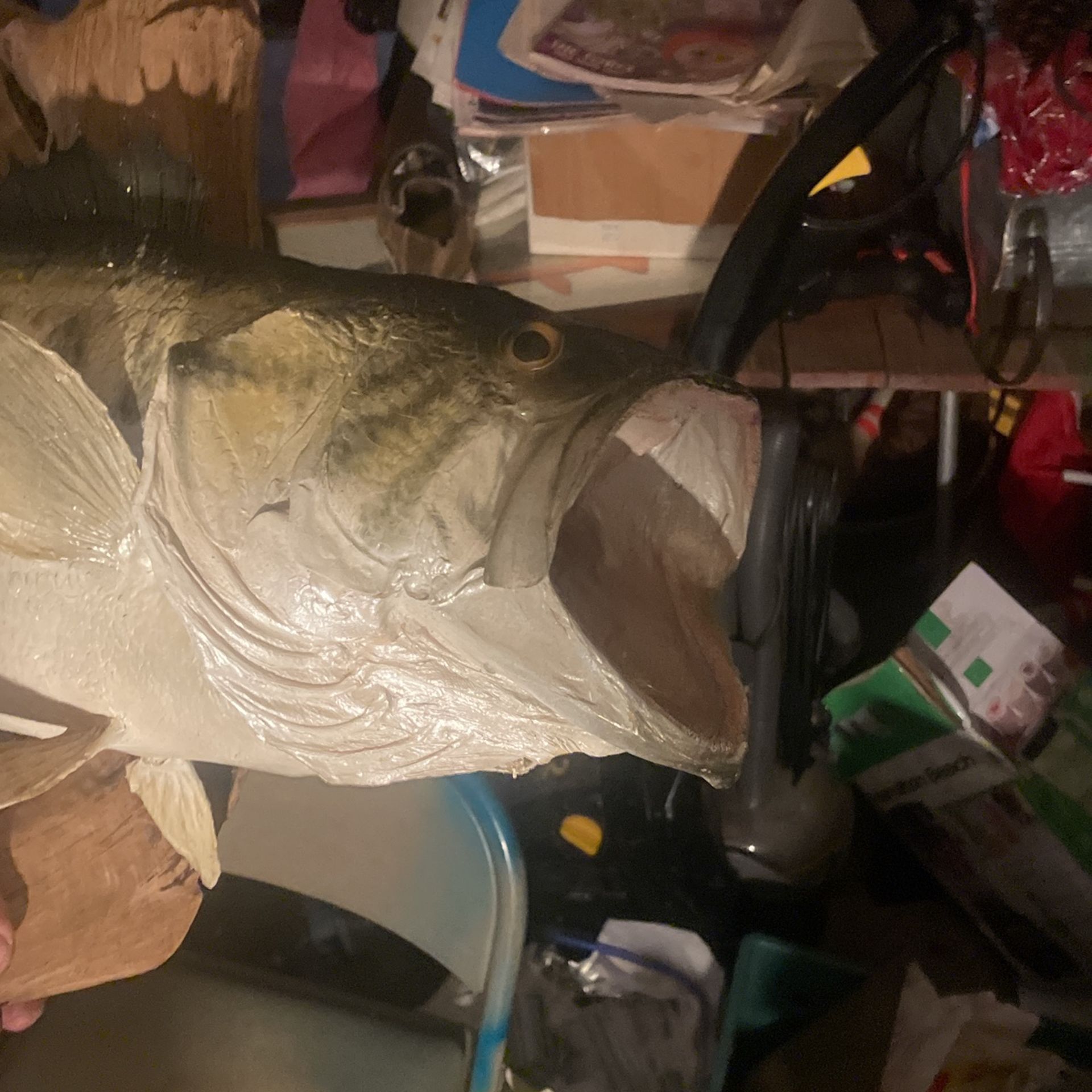 Mounted bass