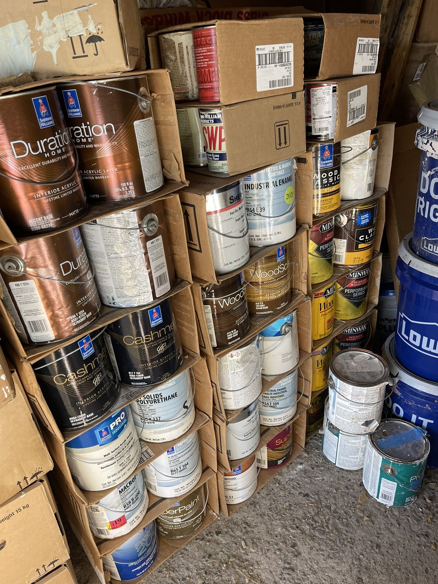 Paint No White $100 For 8 Single  Gallons Mix Color